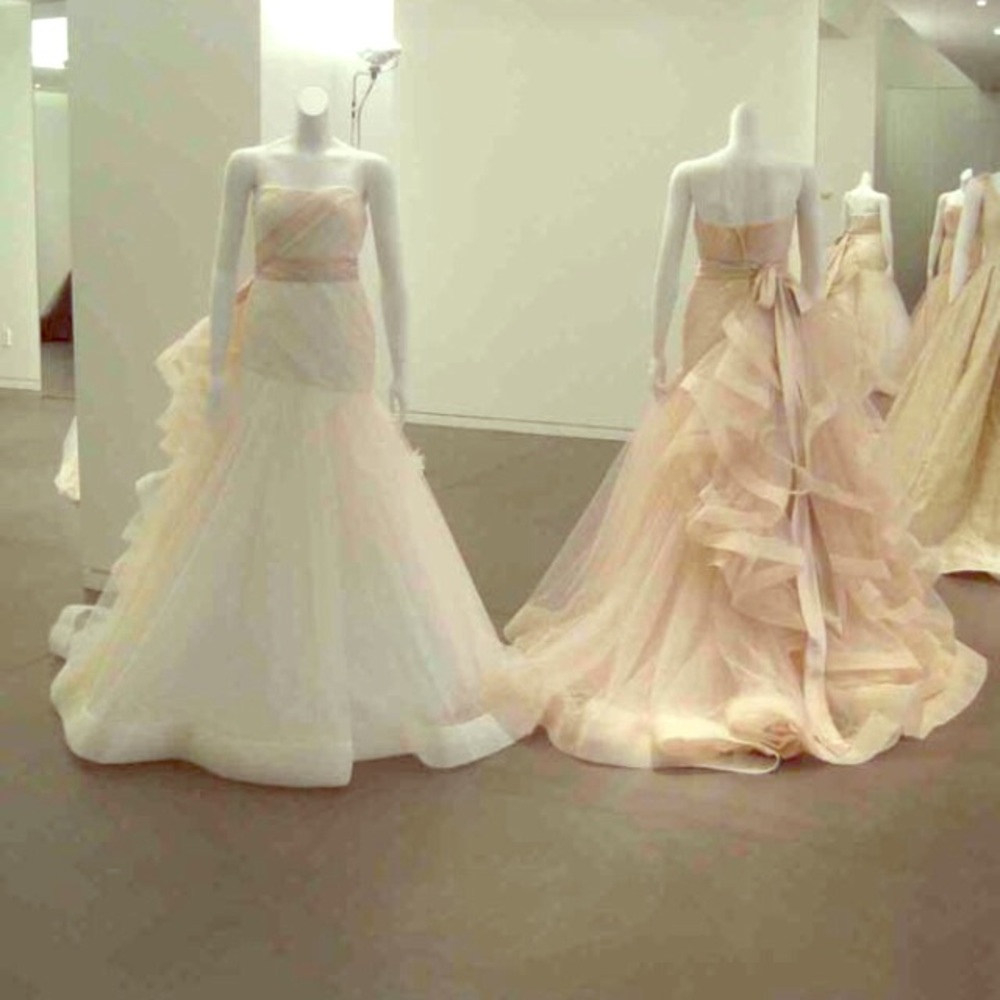 Vera wang for David’s bridal wedding dress